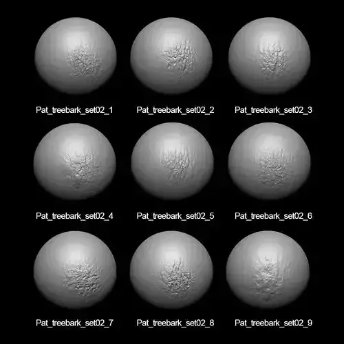 Zbrush Alpha Tree Bark Set02 Texture