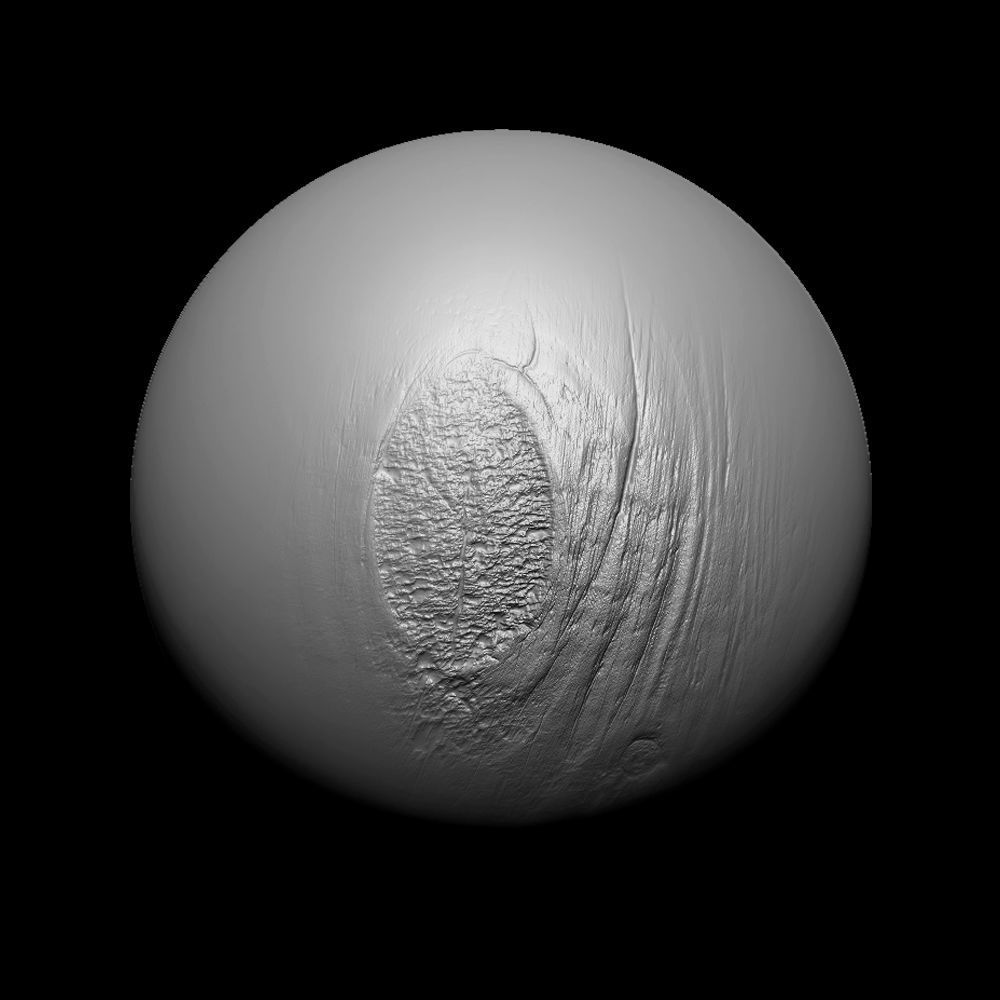 Zbrush Alpha Tree Bark Set02 Texture_15