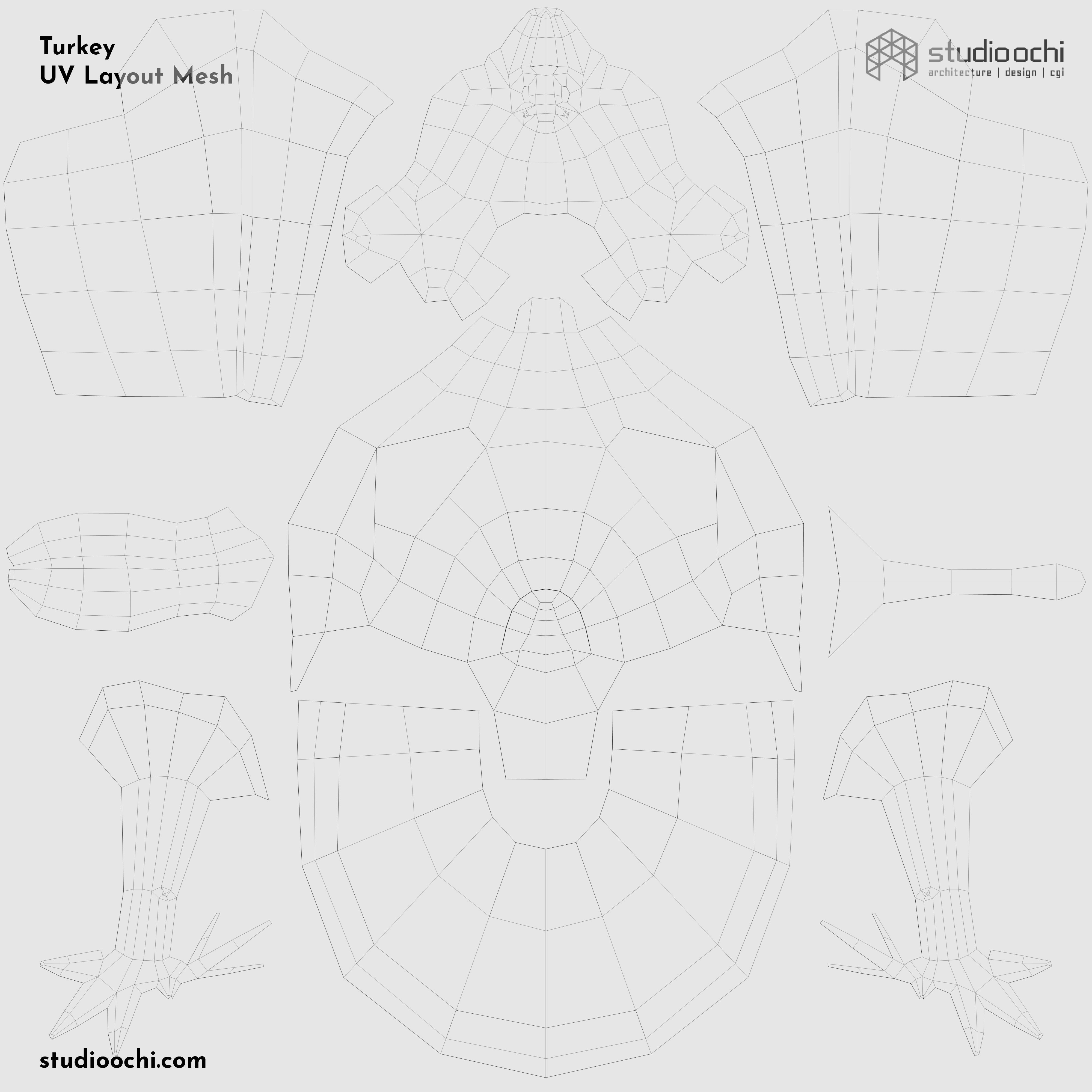 Turkey in low polygons Low-poly 3D model_1