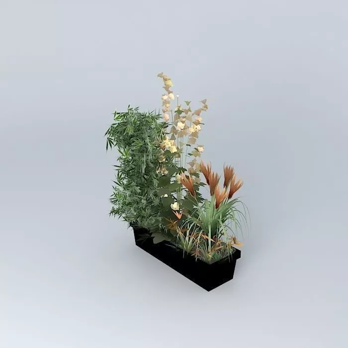 Flowers 3 plant in box Free 3D model