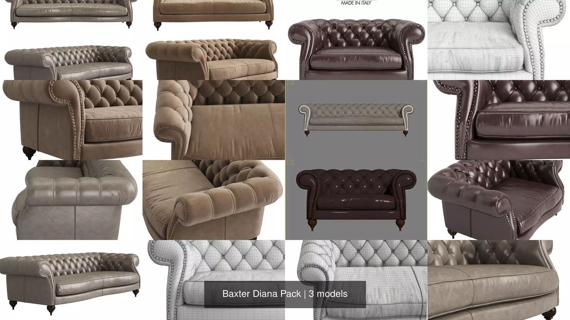 Baxter Diana Pack 3D Model Collection_0