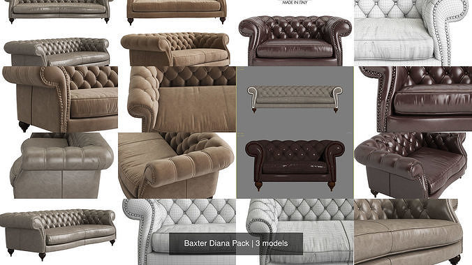 Baxter Diana Pack 3D Model Collection