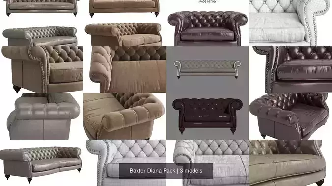 Baxter Diana Pack 3D Model Collection