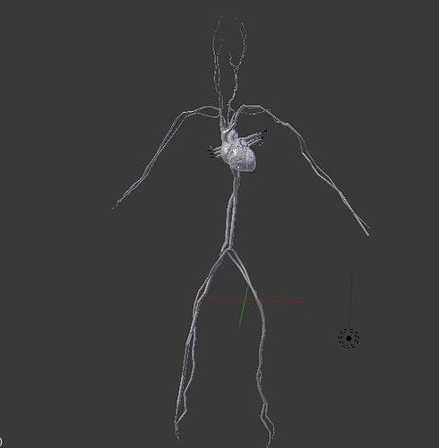 Circulatory System 3D print model