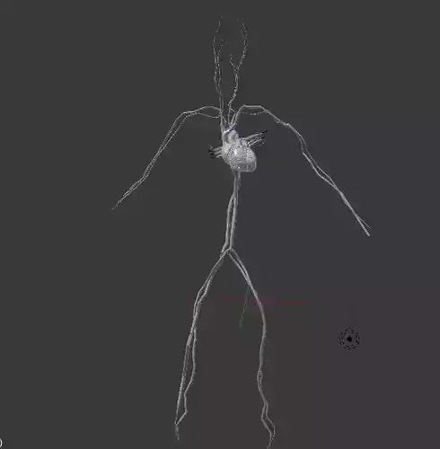 Circulatory System 3D print model