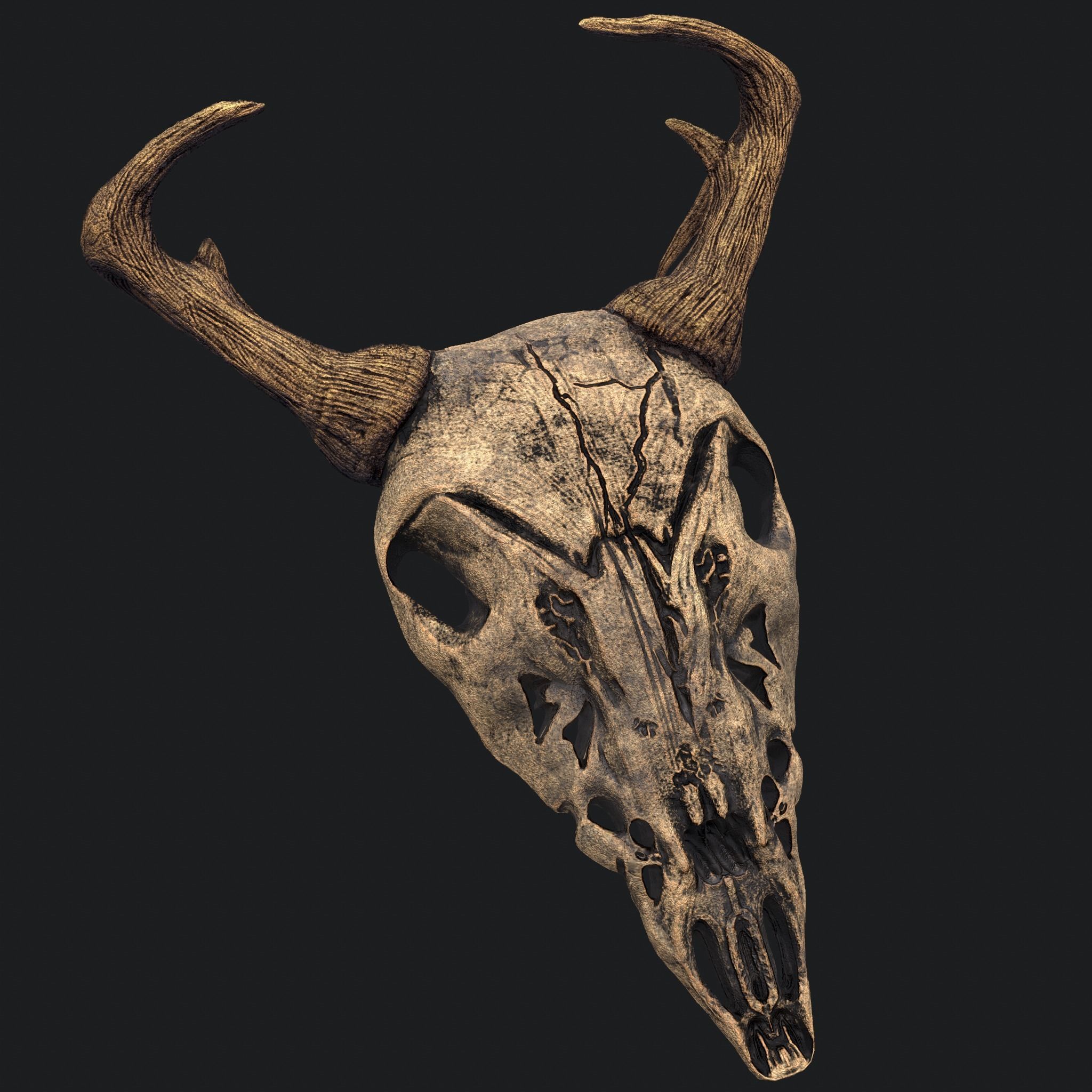 Ram Skull Mask Decoration 3D model_5