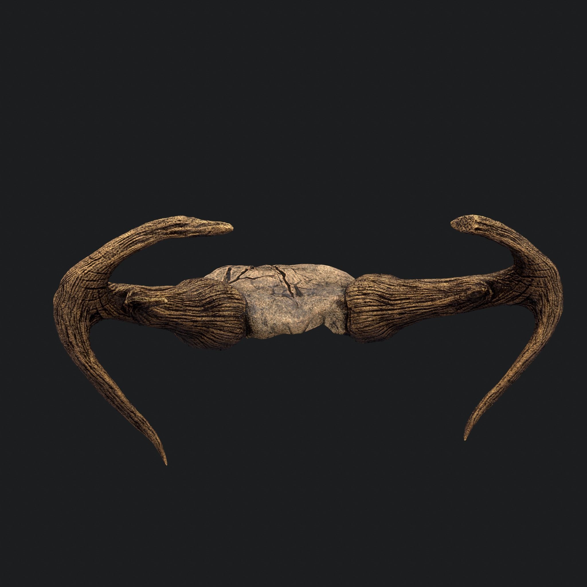 Ram Skull Mask Decoration 3D model_4