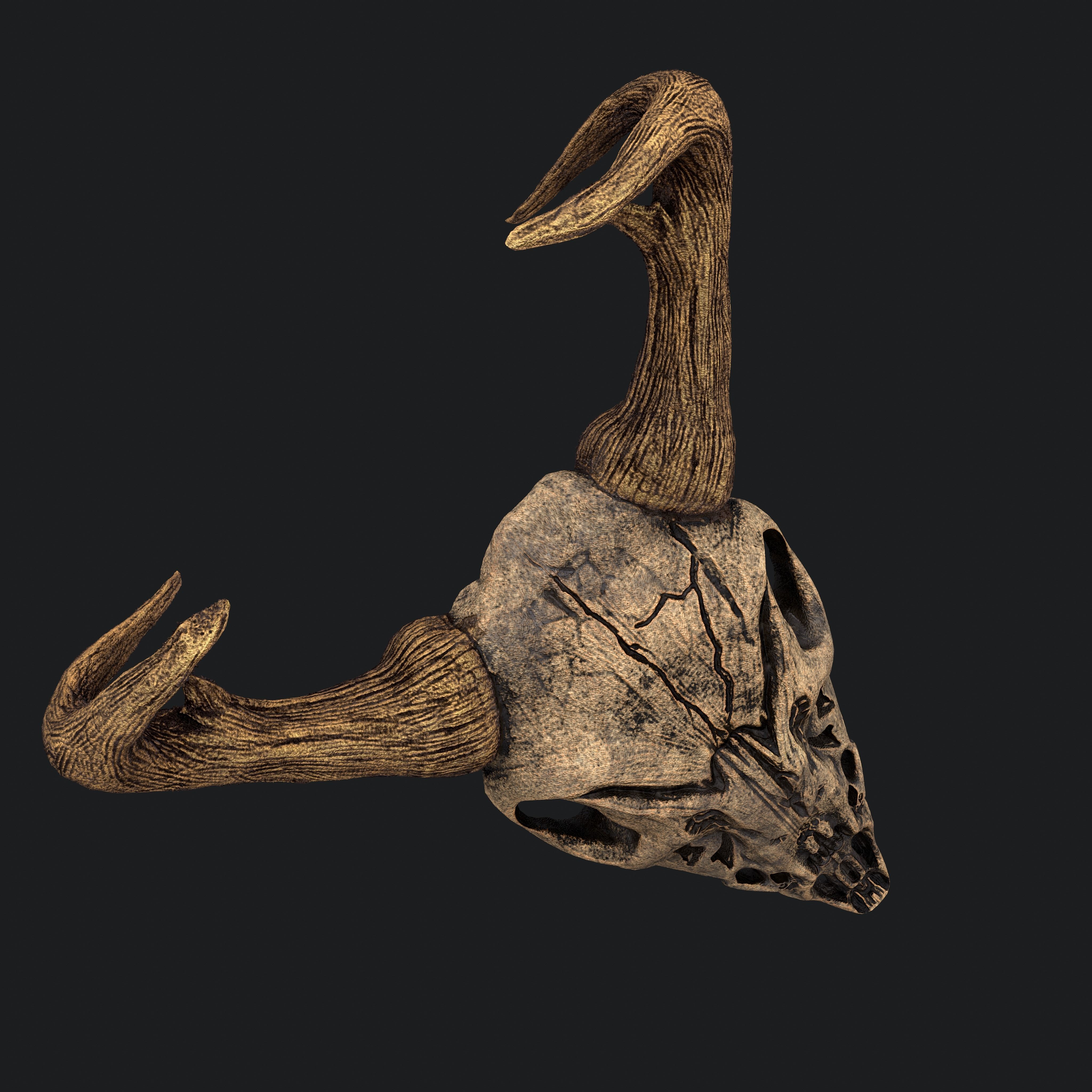 Ram Skull Mask Decoration 3D model_8