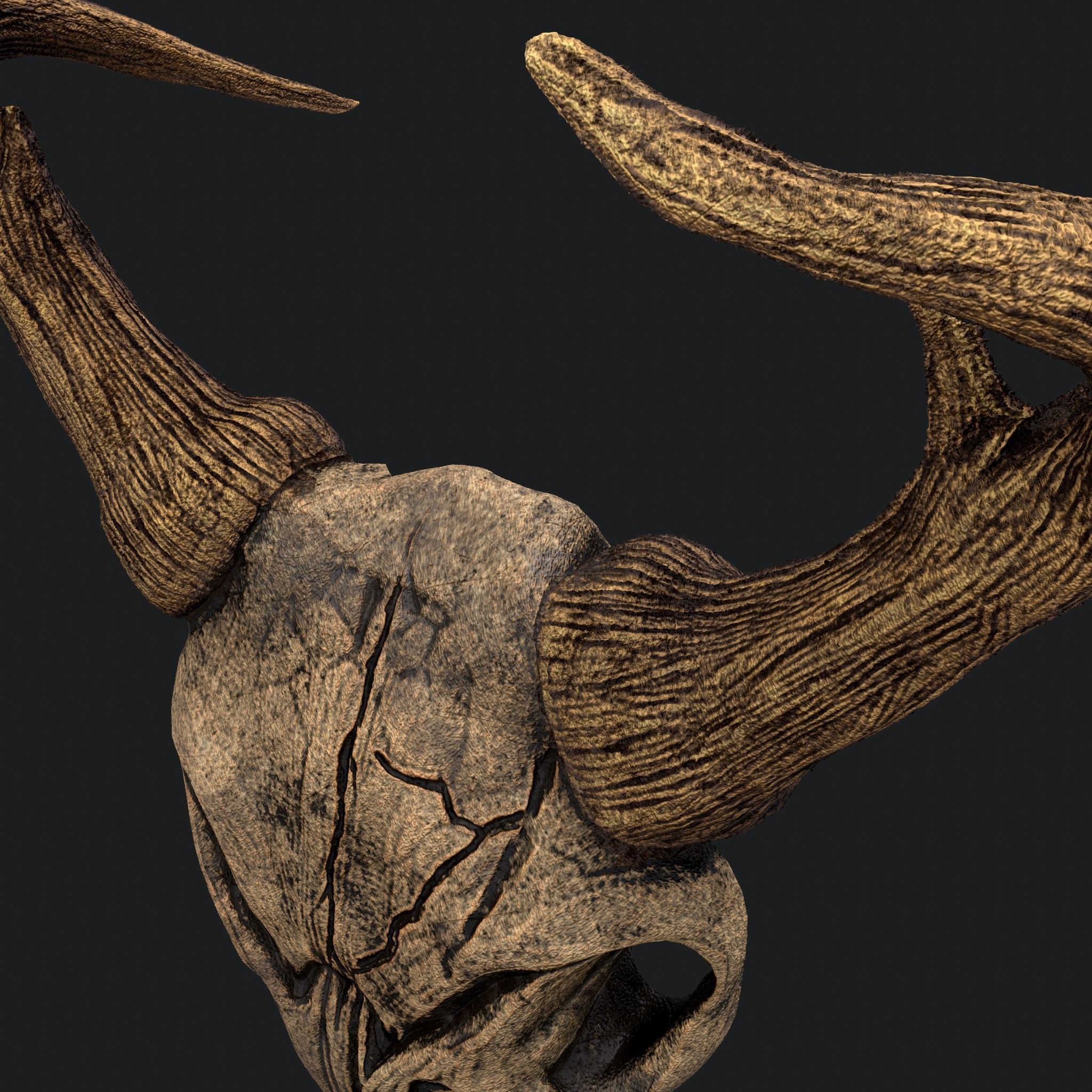 Ram Skull Mask Decoration 3D model_12