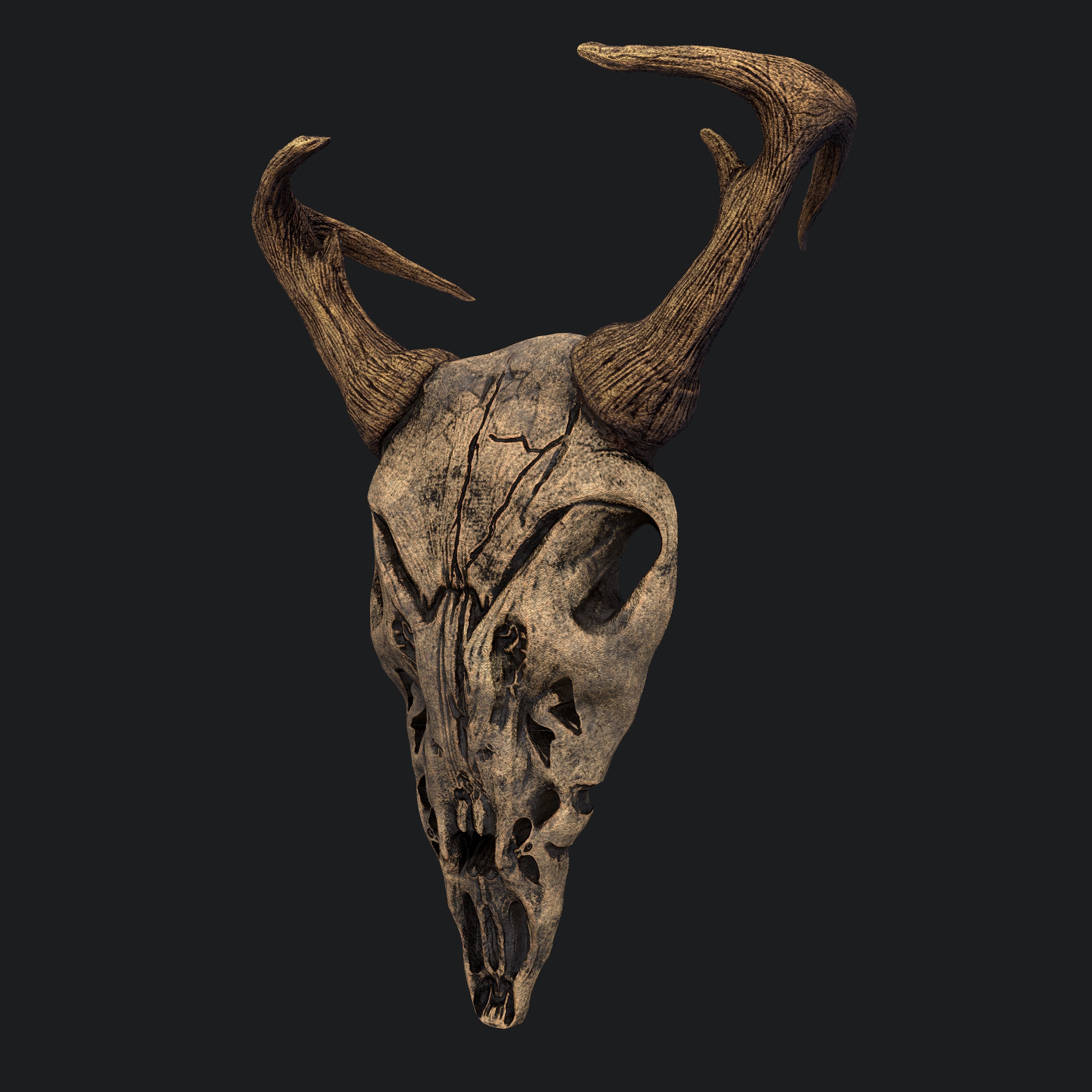 Ram Skull Mask Decoration 3D model_7