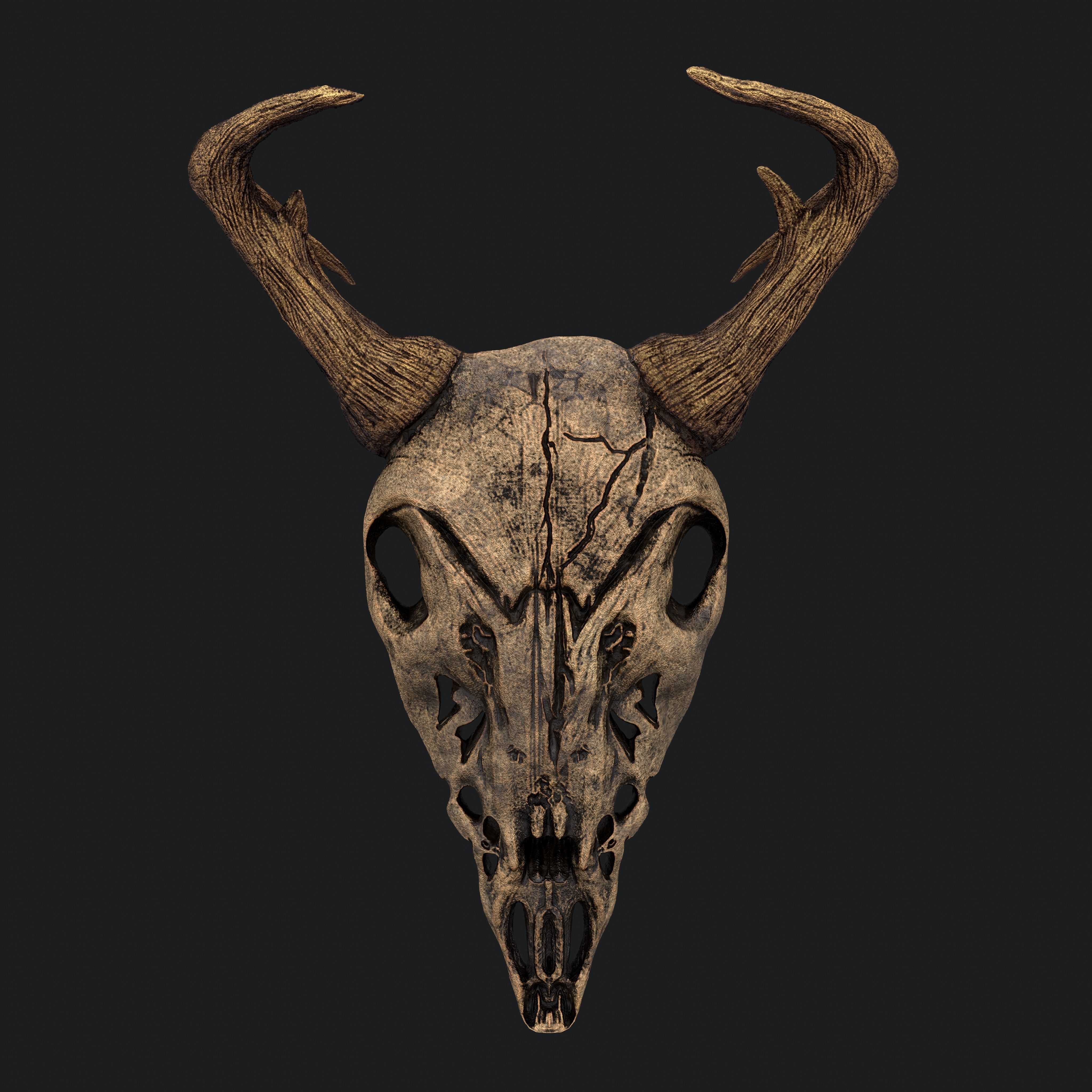 Ram Skull Mask Decoration 3D model_6