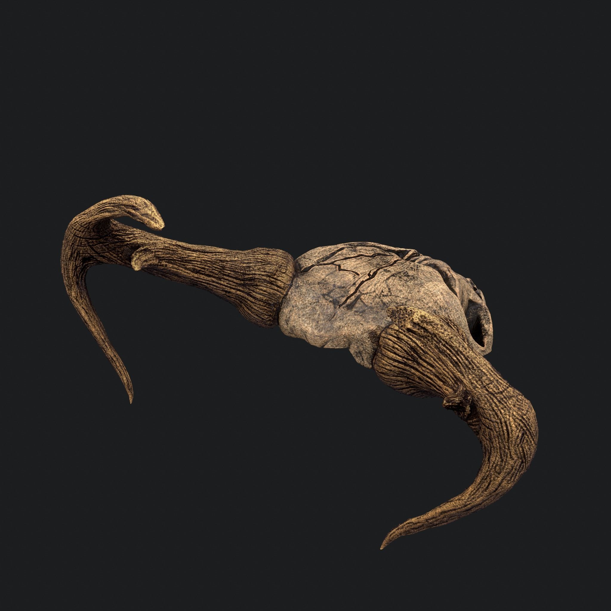 Ram Skull Mask Decoration 3D model_2