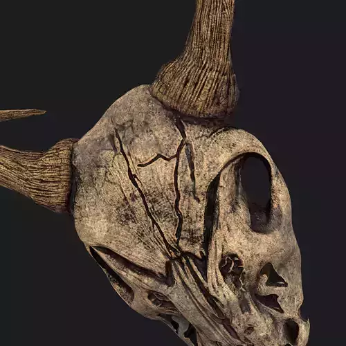 Ram Skull Mask Decoration 3D model