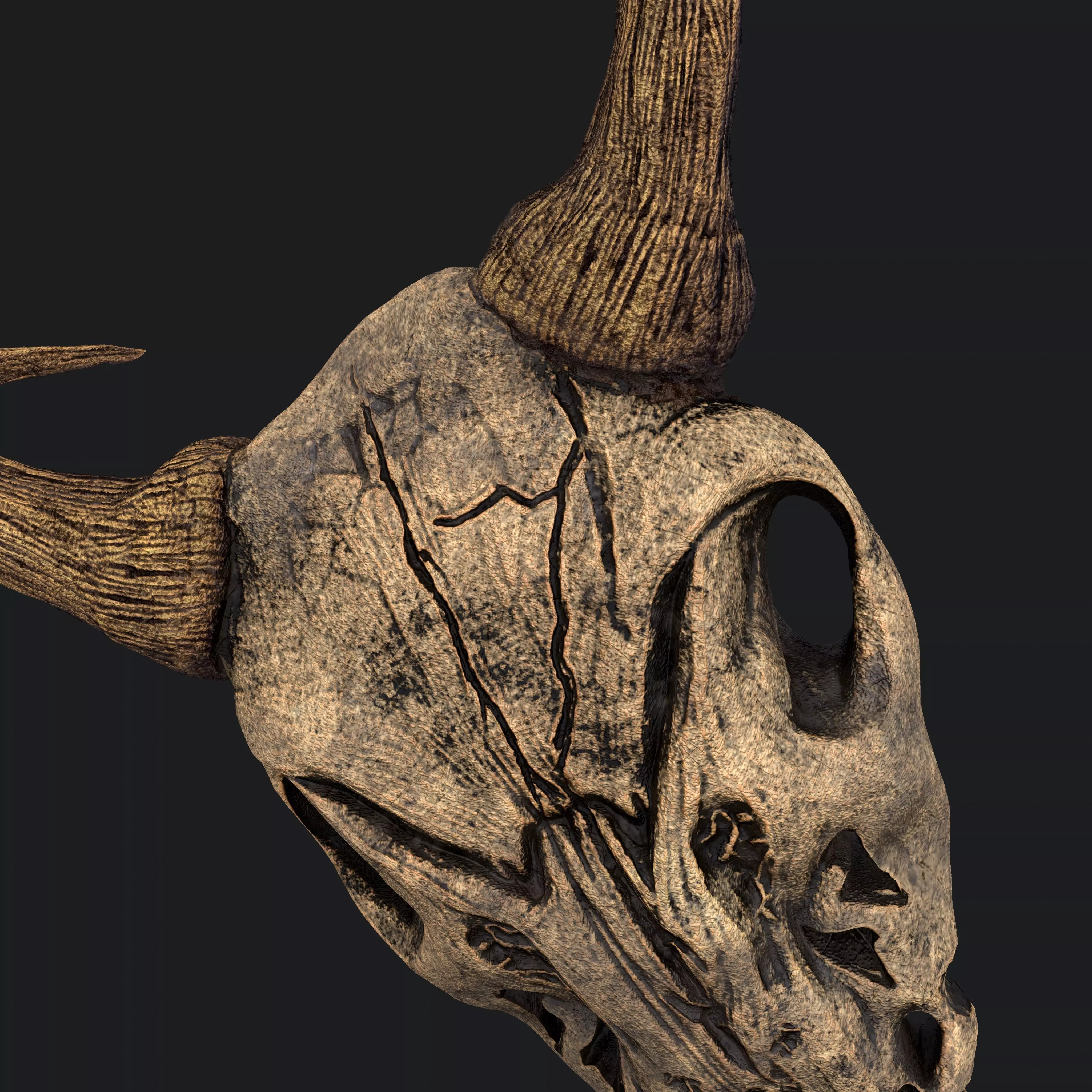 Ram Skull Mask Decoration 3D model_0