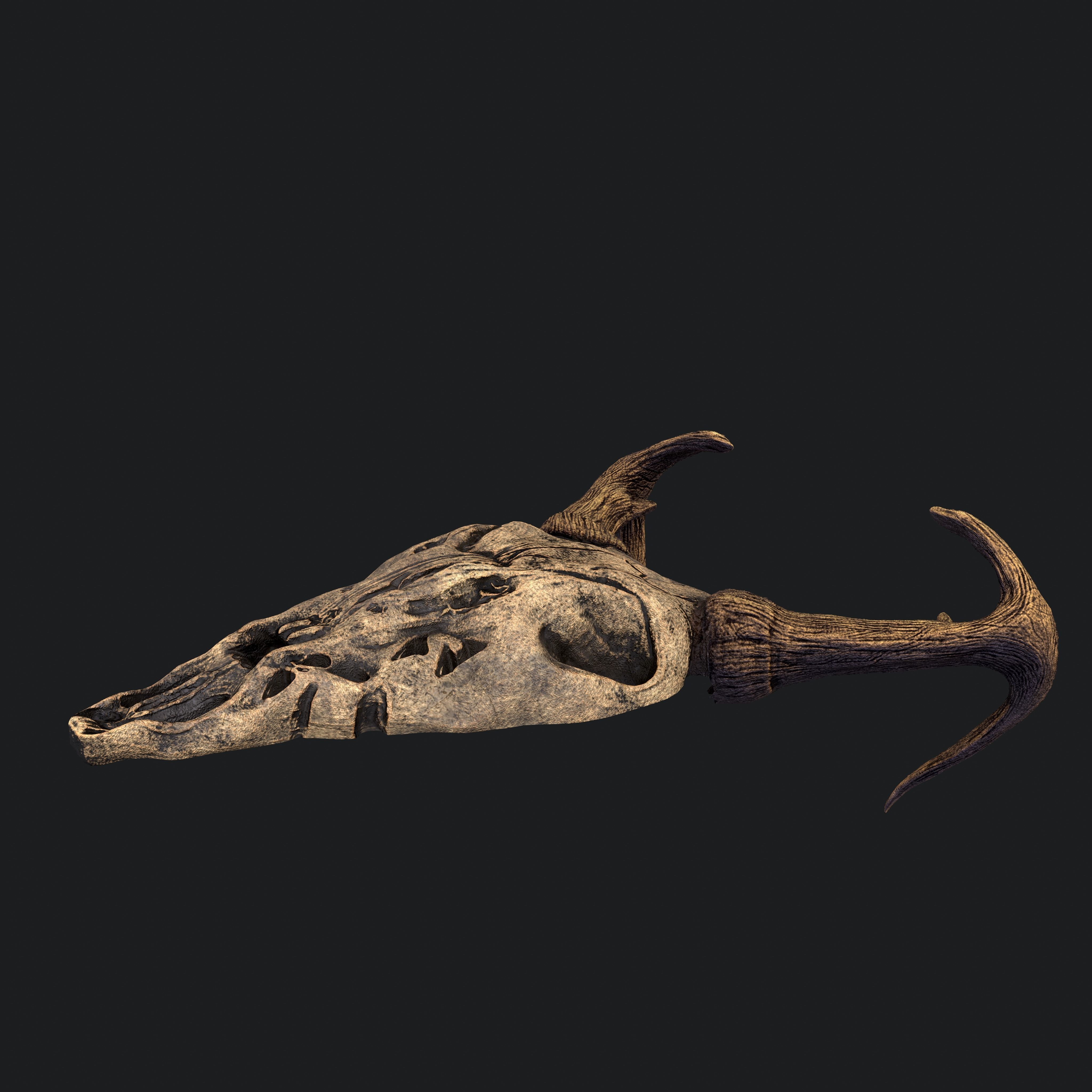 Ram Skull Mask Decoration 3D model_9