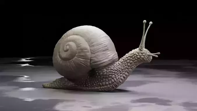 Snail Sculpture - by Christopher Michael Walker