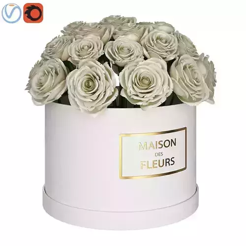 White roses in box 