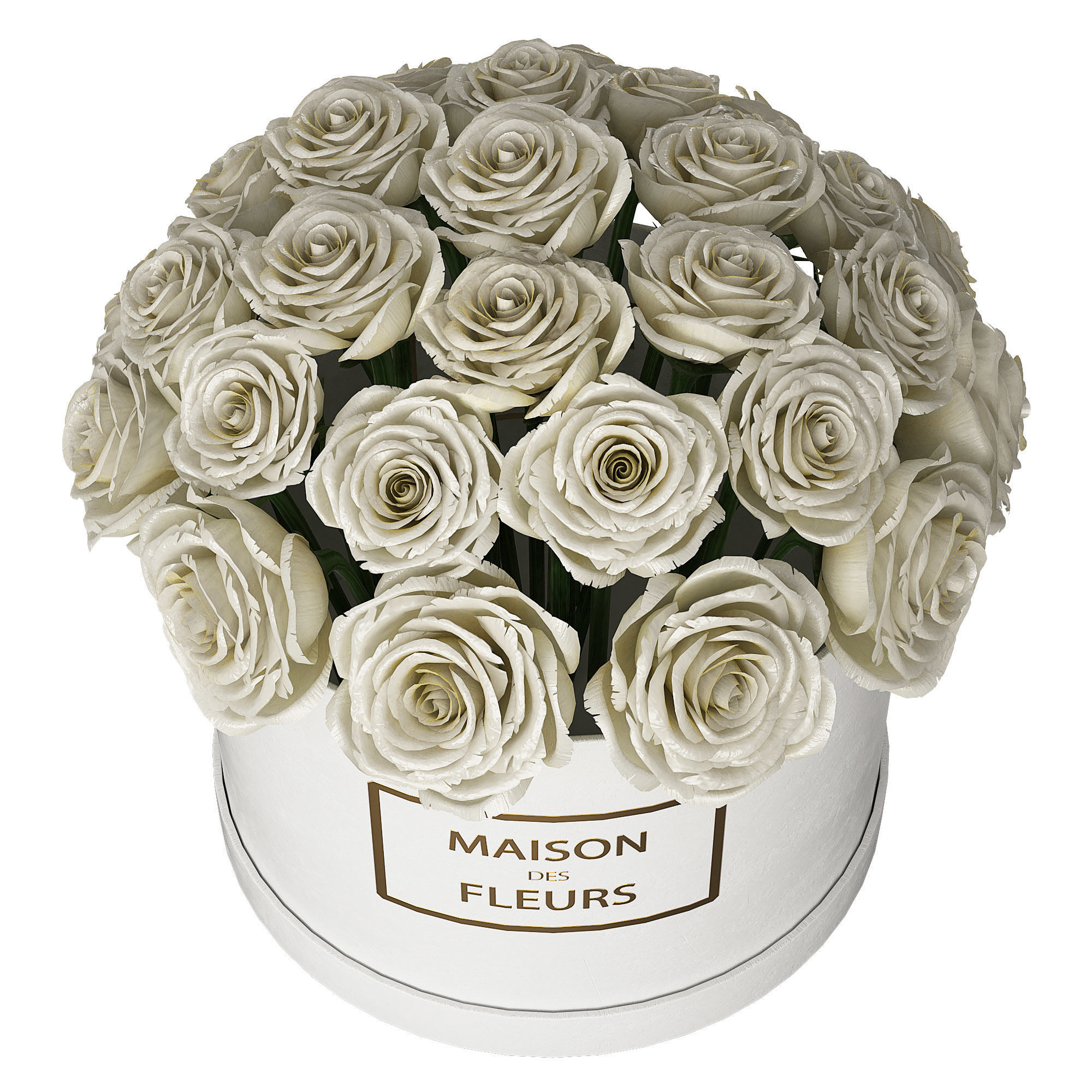 White roses in box  3D model_1