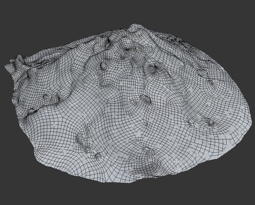 Ultra realistic A bunch of snow Scan  3D model_6