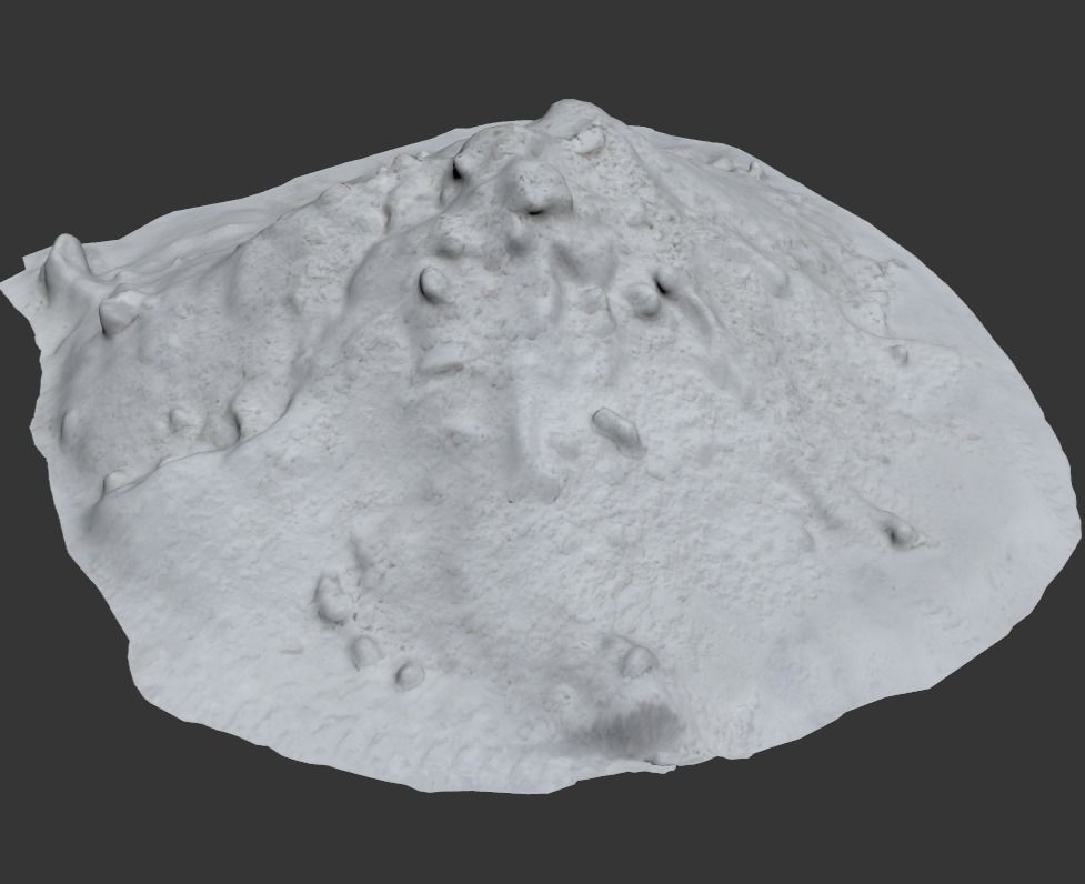 Ultra realistic A bunch of snow Scan  3D model_5