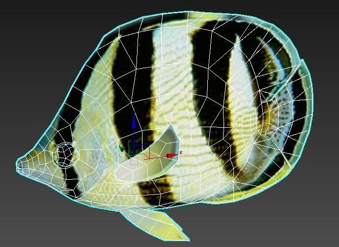 Banded Butterfly Fish Low-poly 3D model_5