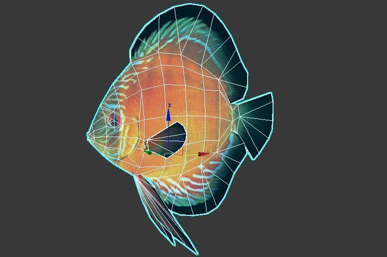  Alenquer Discus Fish Low-poly 3D model_5