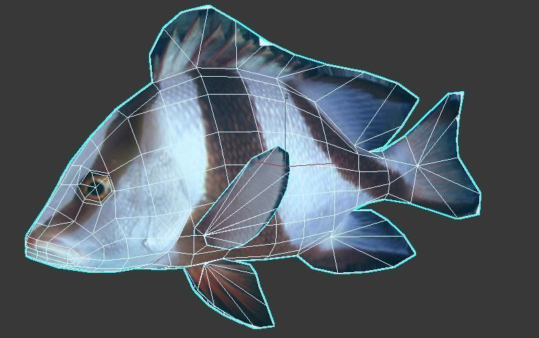 Emperor Red Snapper Fish Low-poly 3D model_5