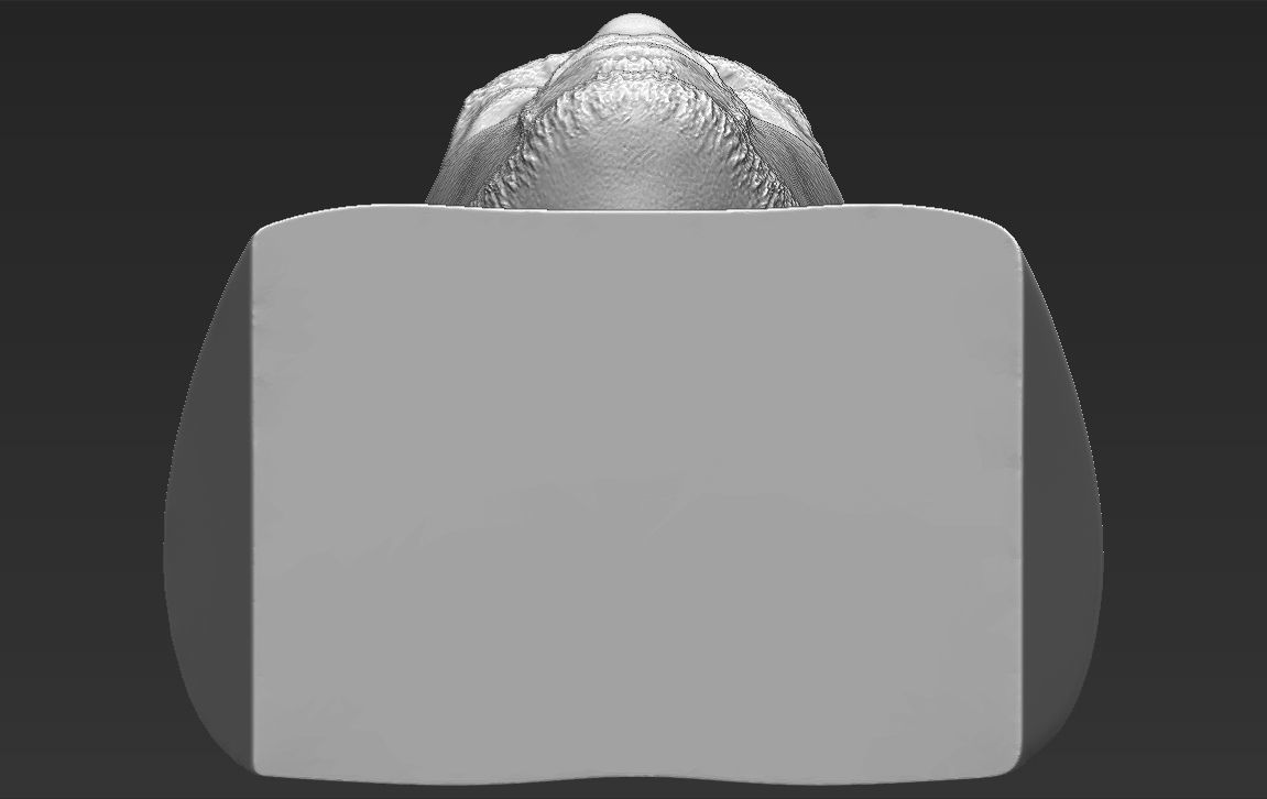 50 Cent bust 3D printing ready stl obj formats 3D print model_21