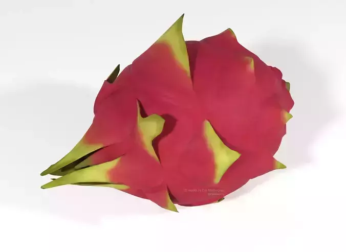 Pitahaya Fruit from Ecuador