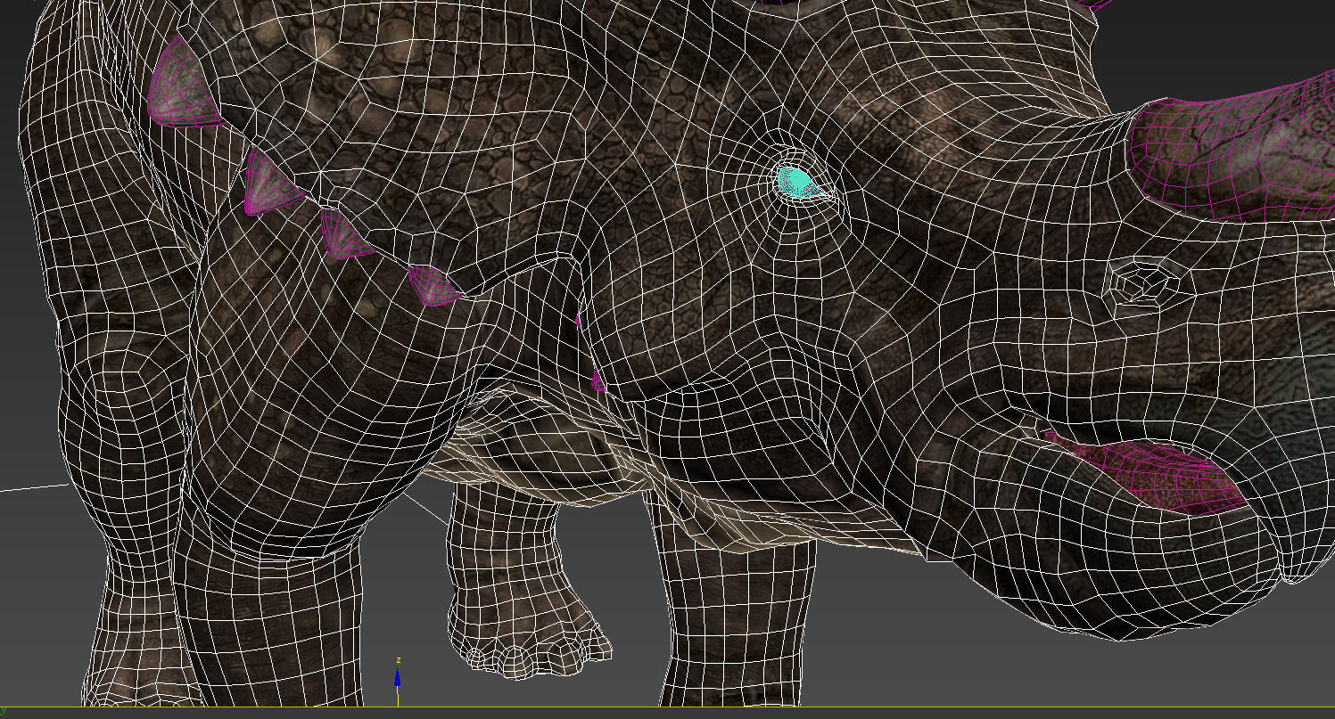 Triceratops dinosaur 3D model_6