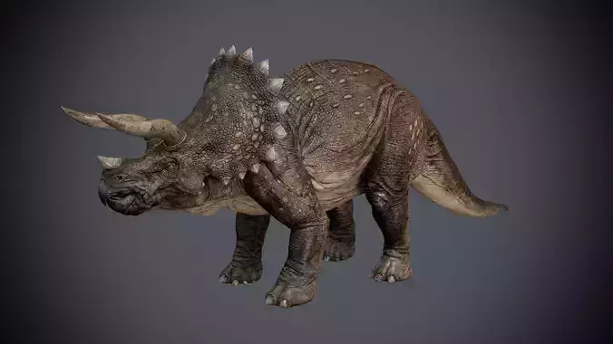 Triceratops dinosaur 3D model
