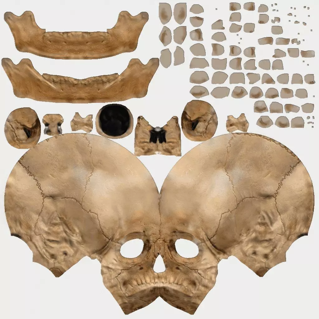 Devil Skull 3D Model Texture_0