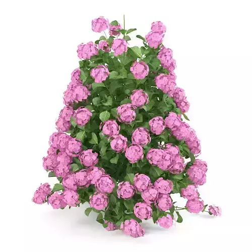 Plants Hydrangea set 09 