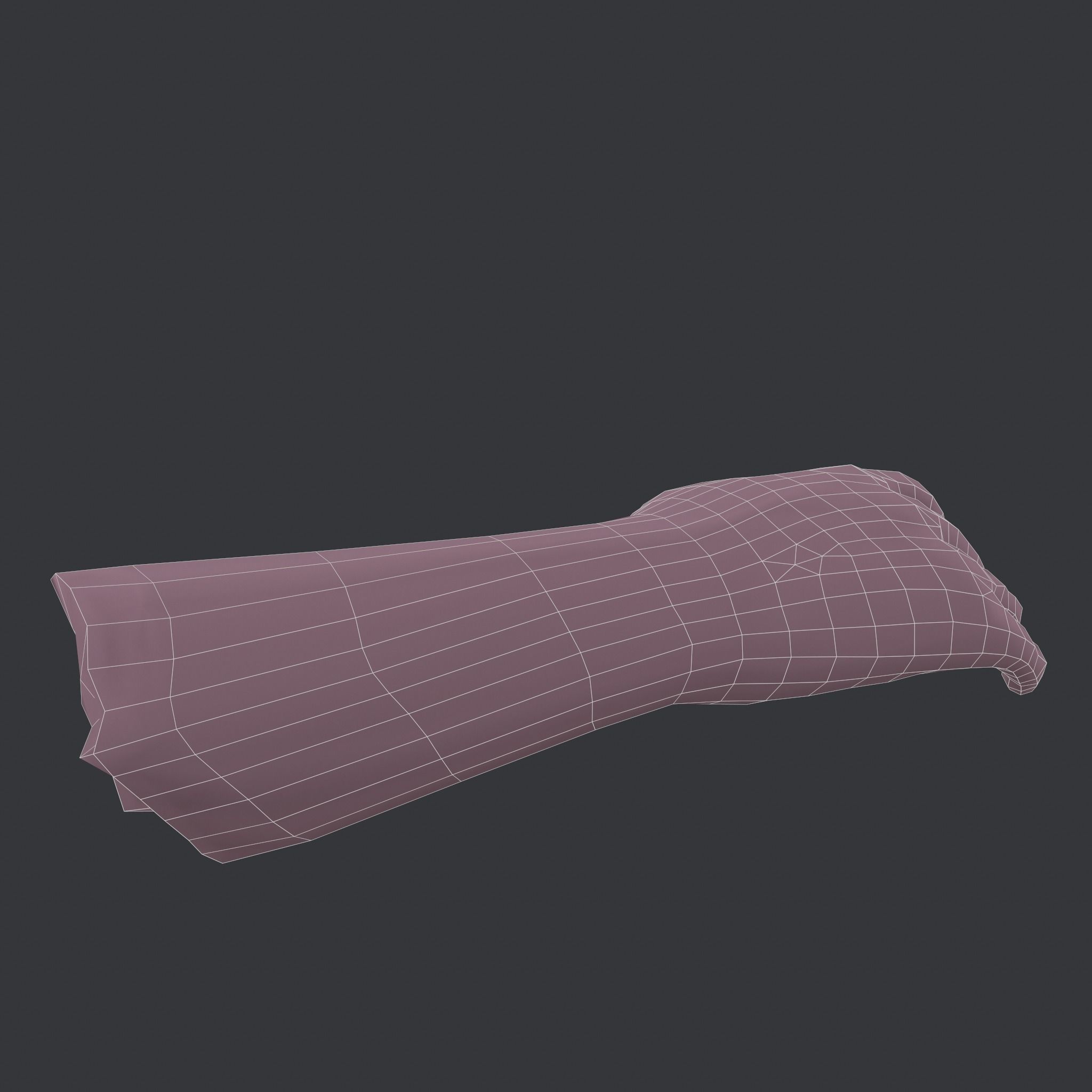 Severed Arm Low-poly 3D model_33