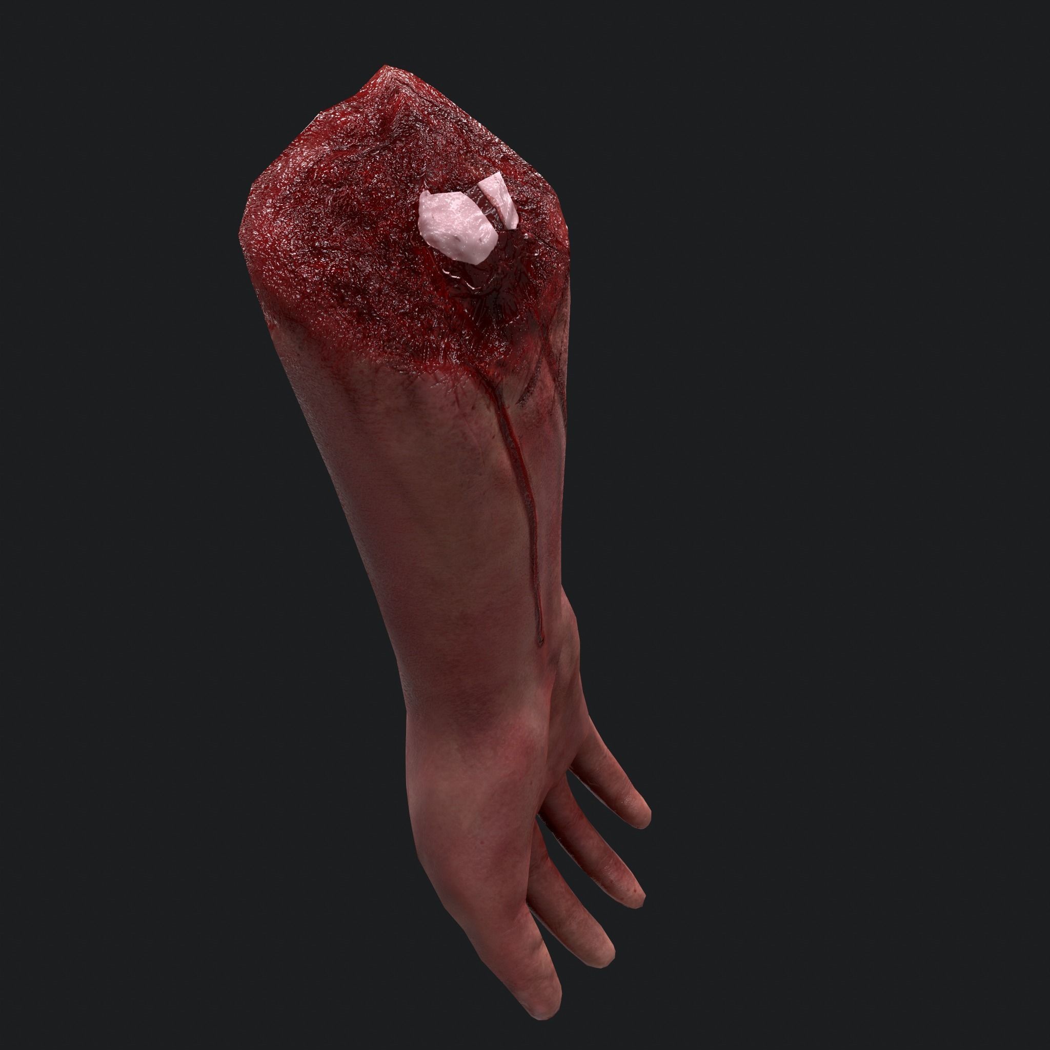 Severed Arm Low-poly 3D model_26