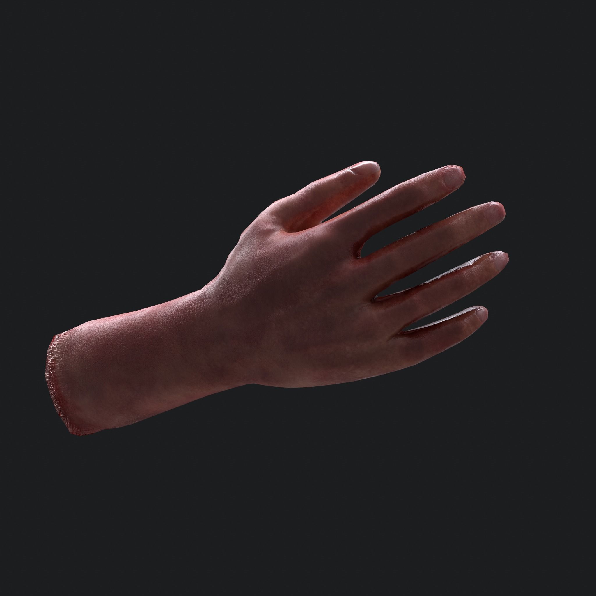 Severed Arm Low-poly 3D model_3