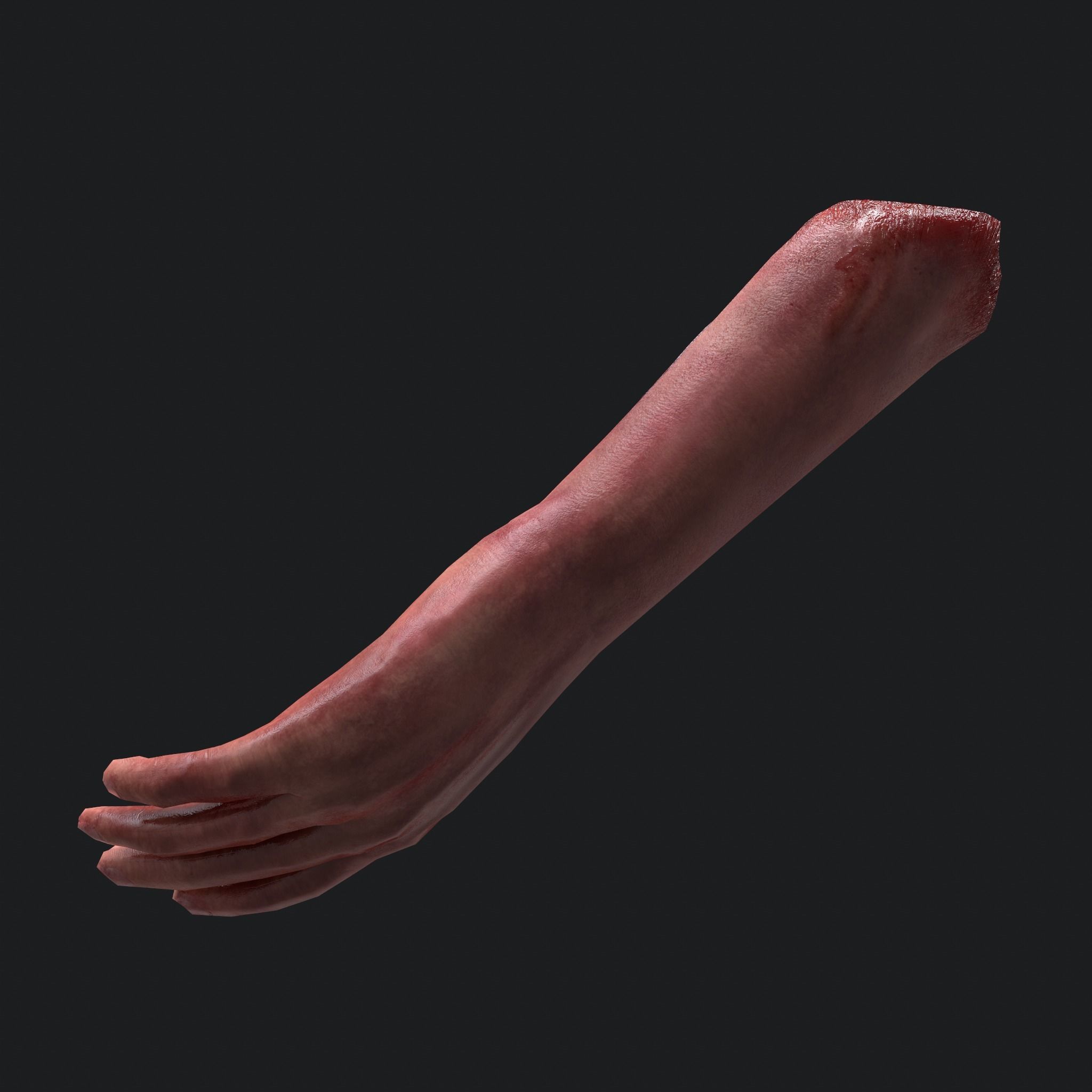 Severed Arm Low-poly 3D model_20
