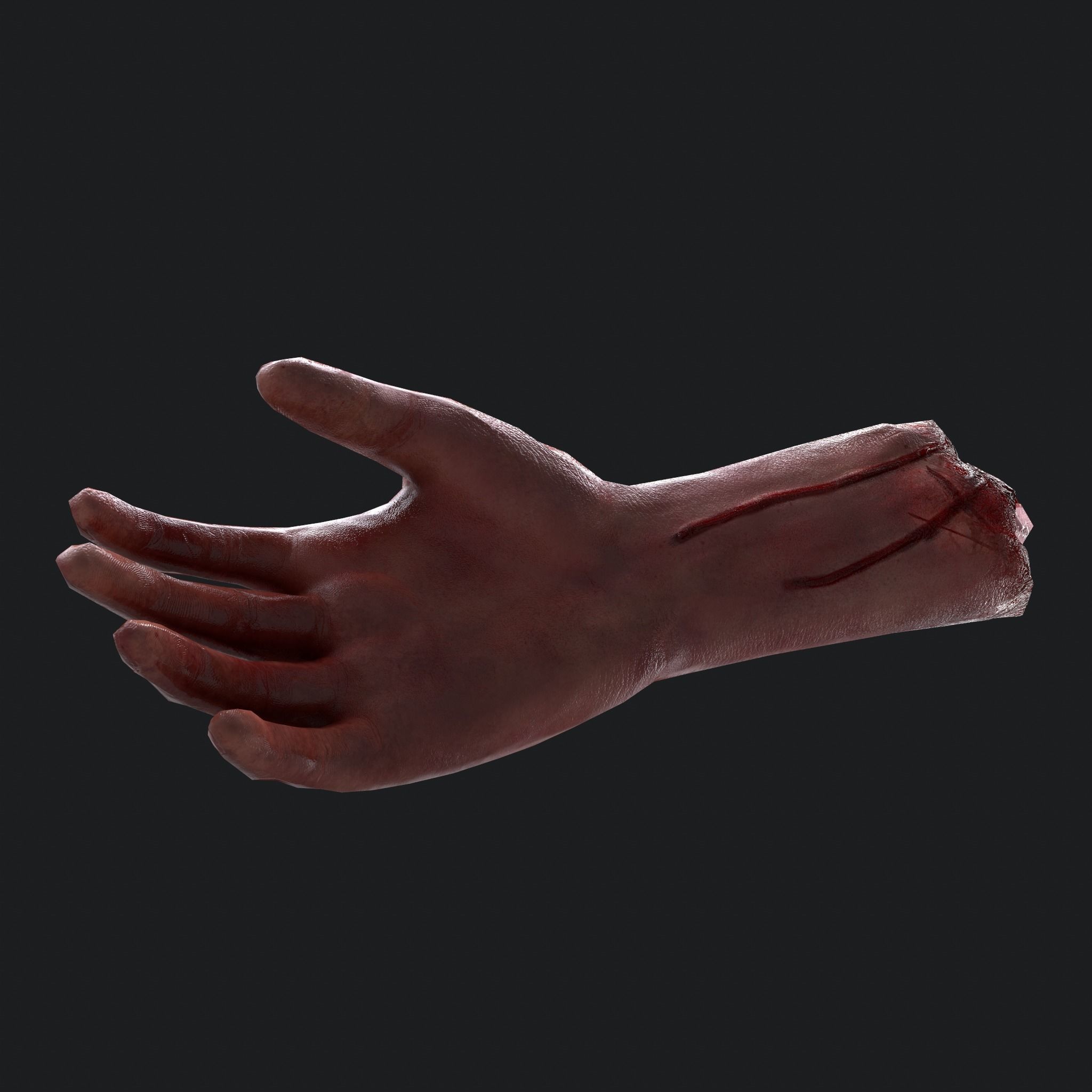 Severed Arm Low-poly 3D model_23