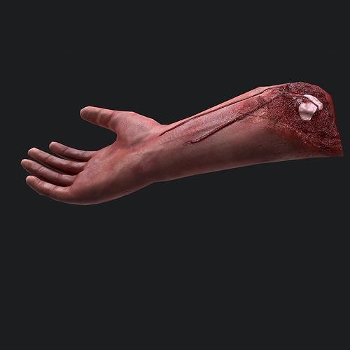 Severed Arm Low-poly 3D model