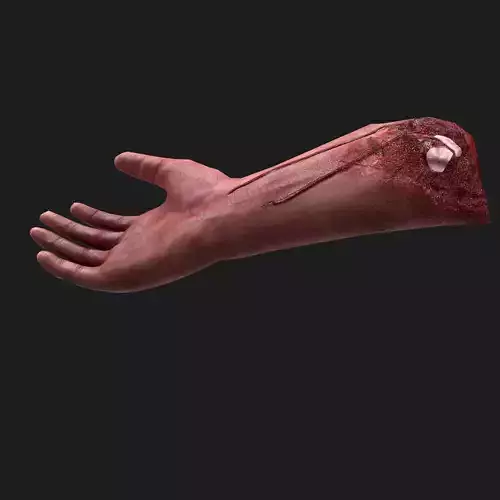 Severed Arm Low-poly 3D model