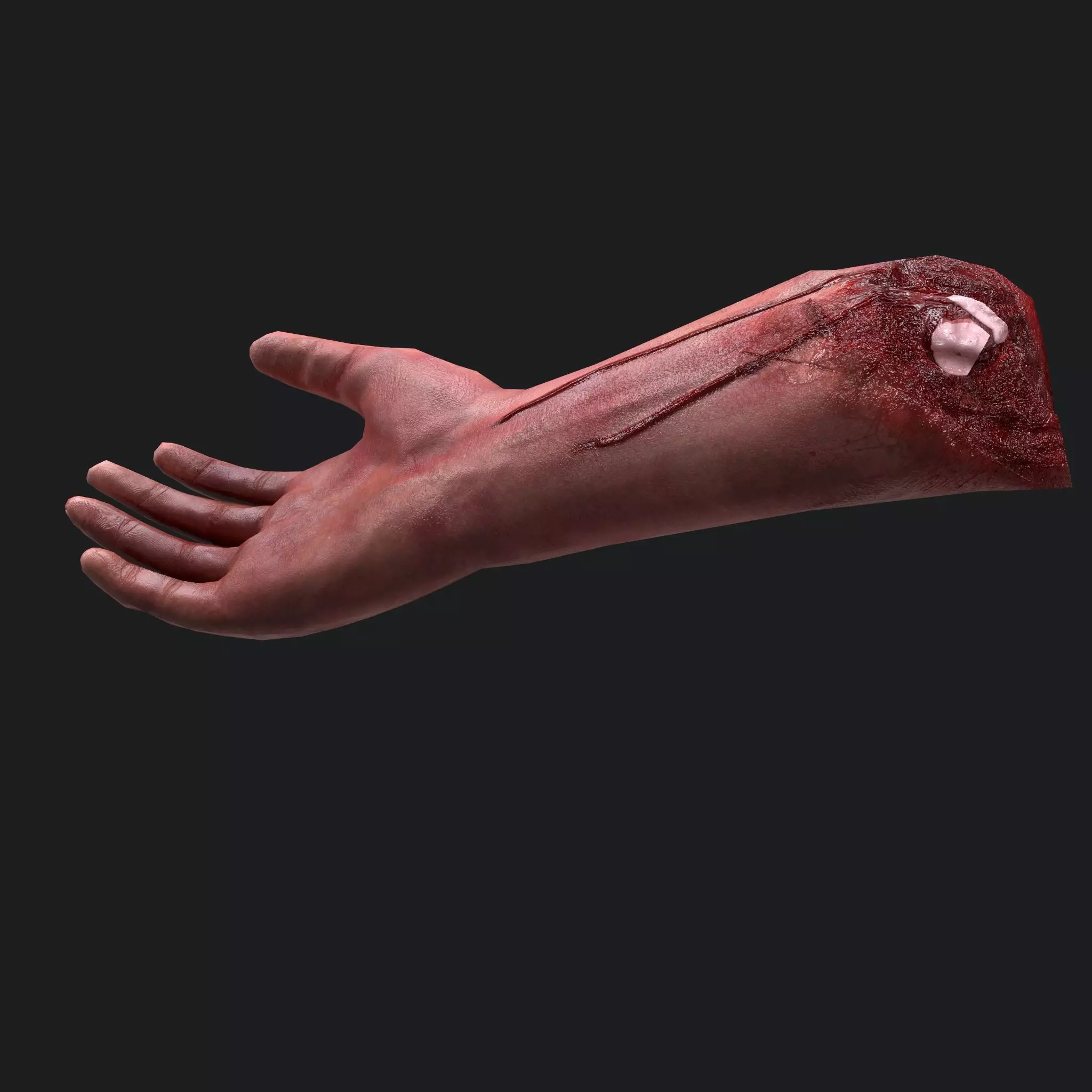 Severed Arm Low-poly 3D model_0