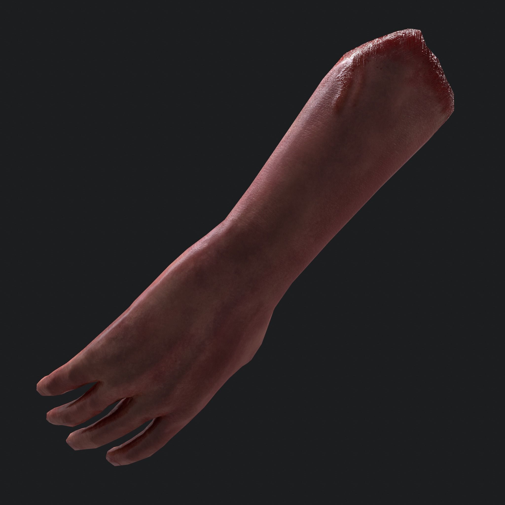 Severed Arm Low-poly 3D model_18
