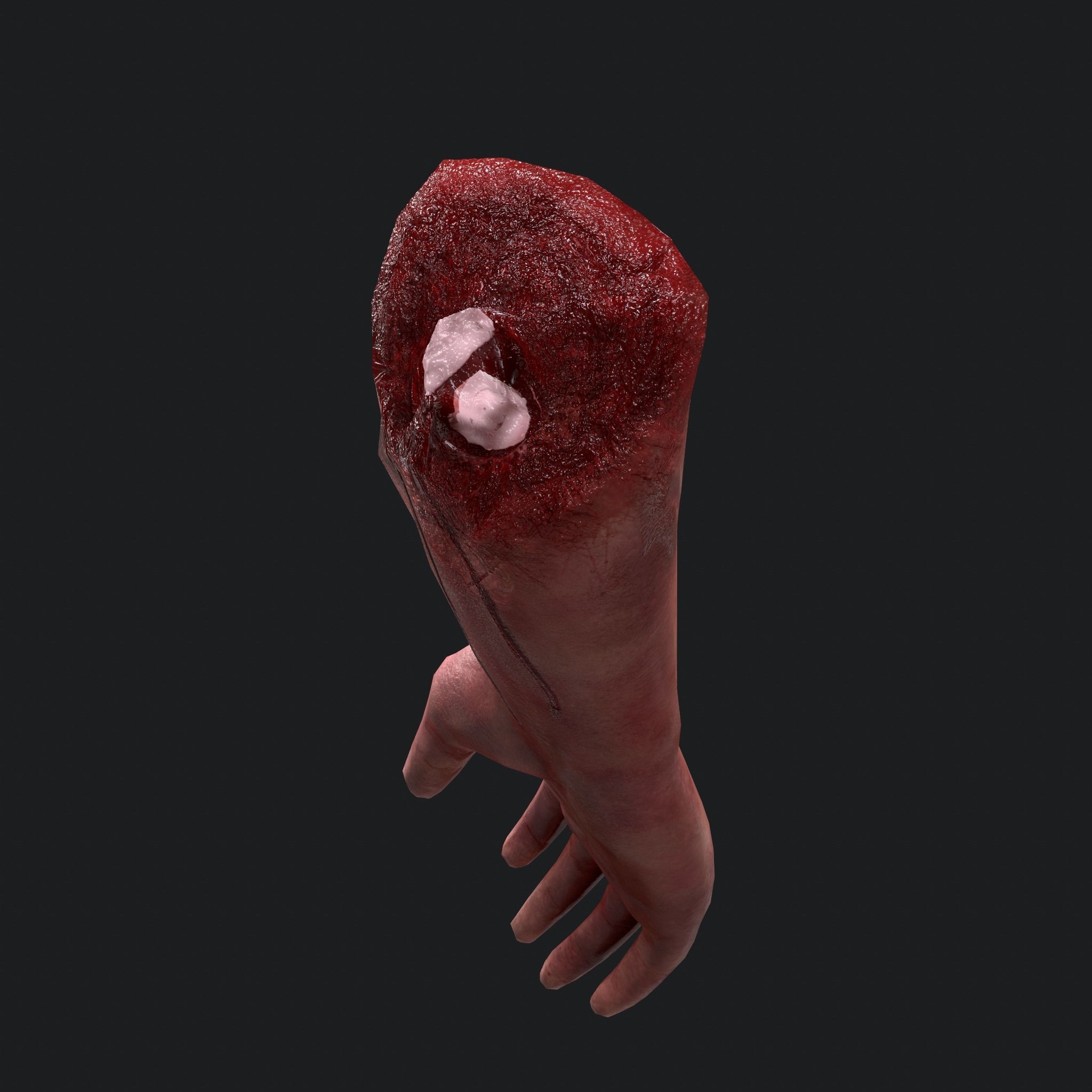 Severed Arm Low-poly 3D model_22