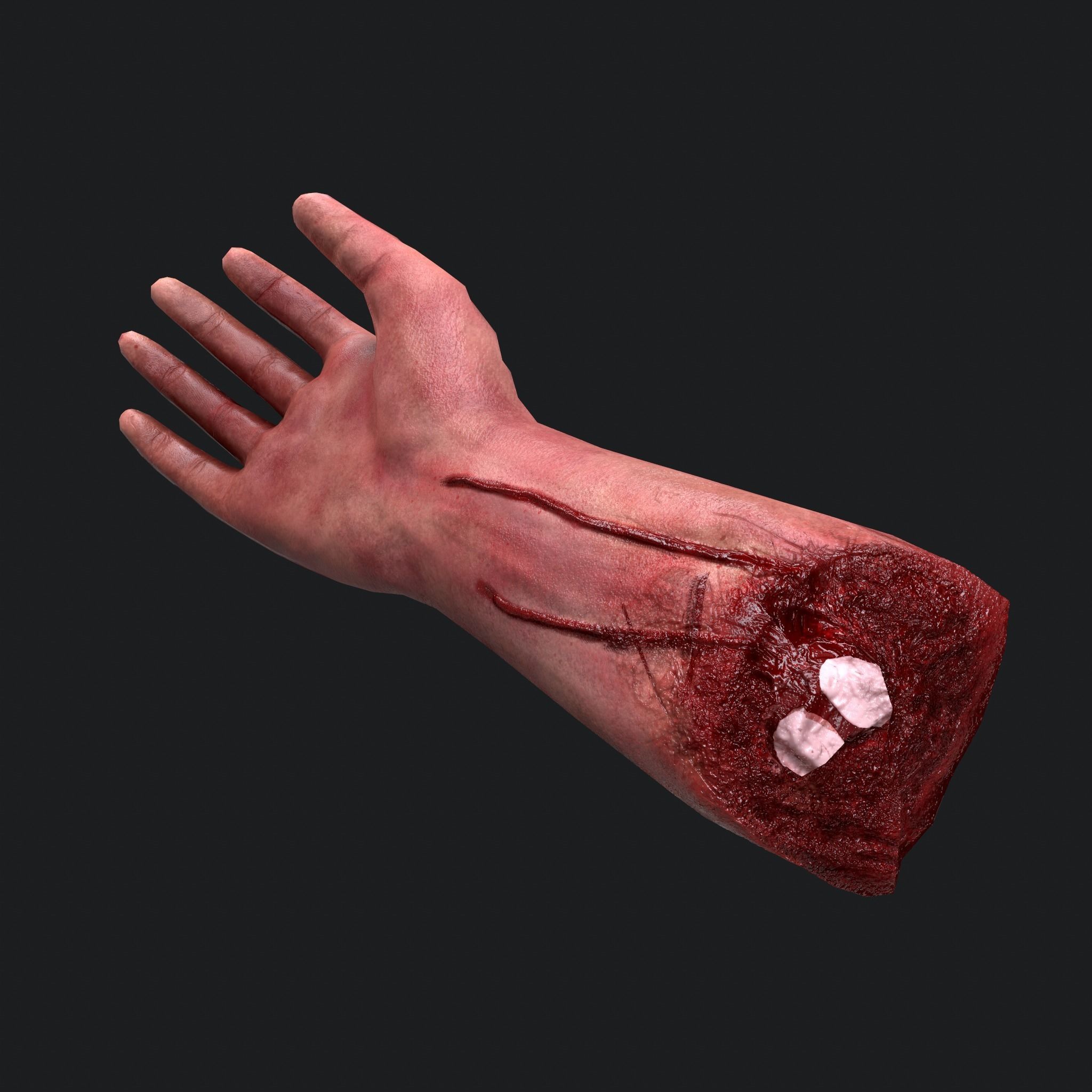 Severed Arm Low-poly 3D model_4