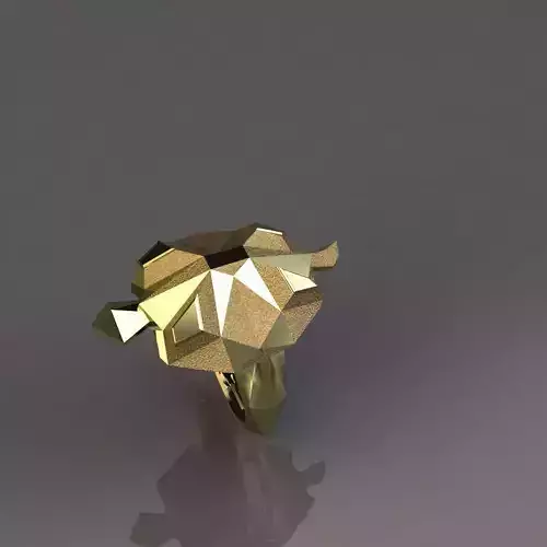 Turtle Ring
