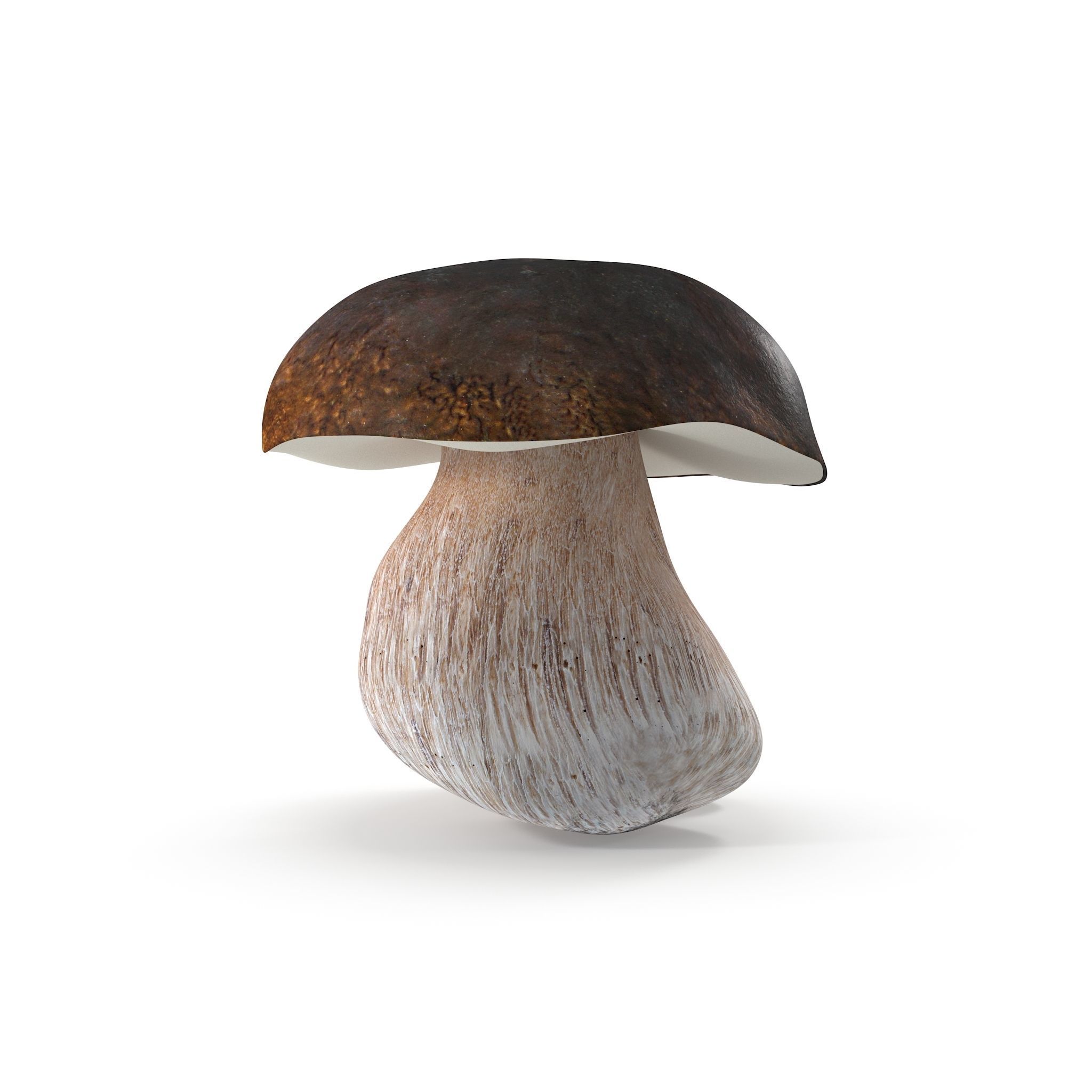 Boletus Edulis Low-poly 3D model_7