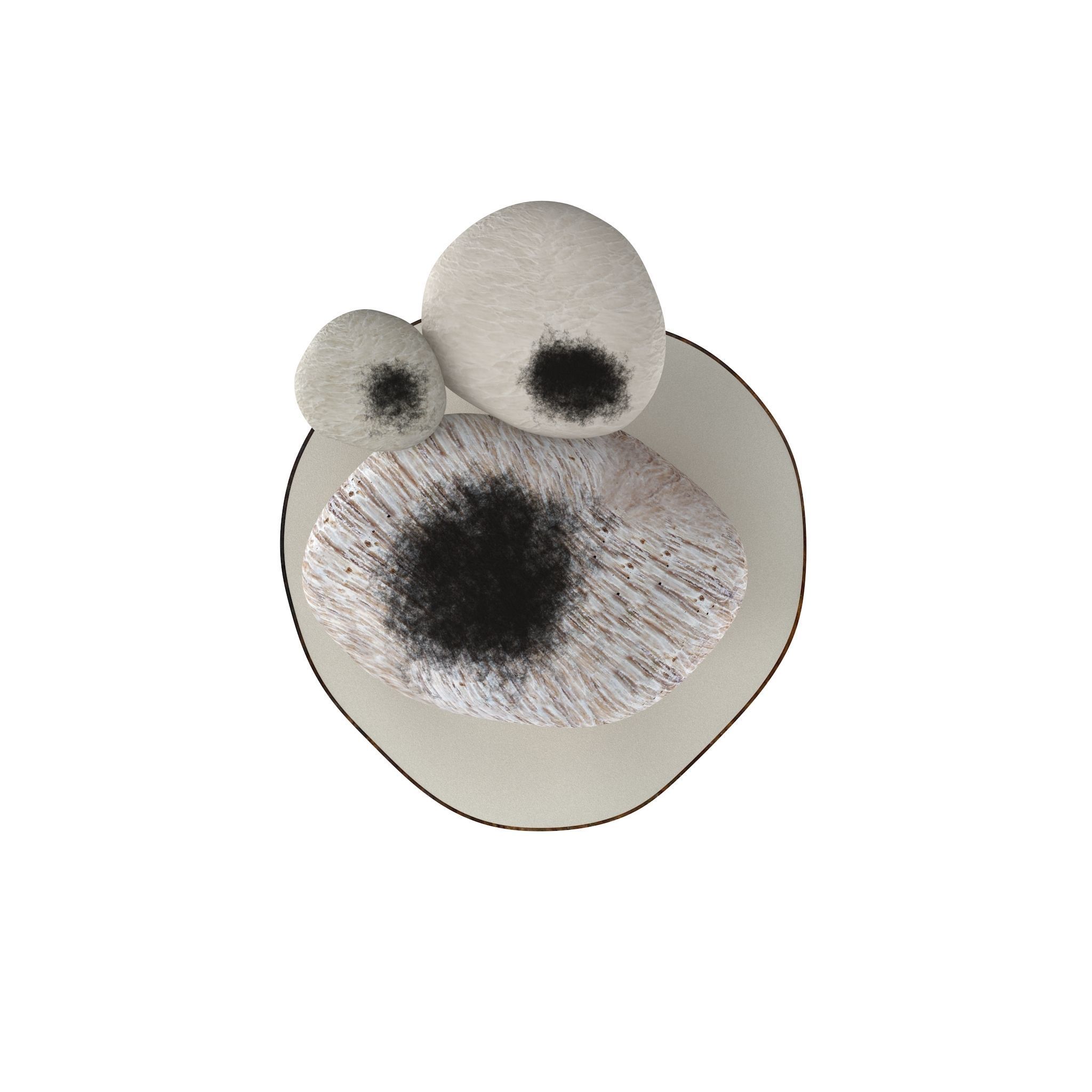 Boletus Edulis Low-poly 3D model_9