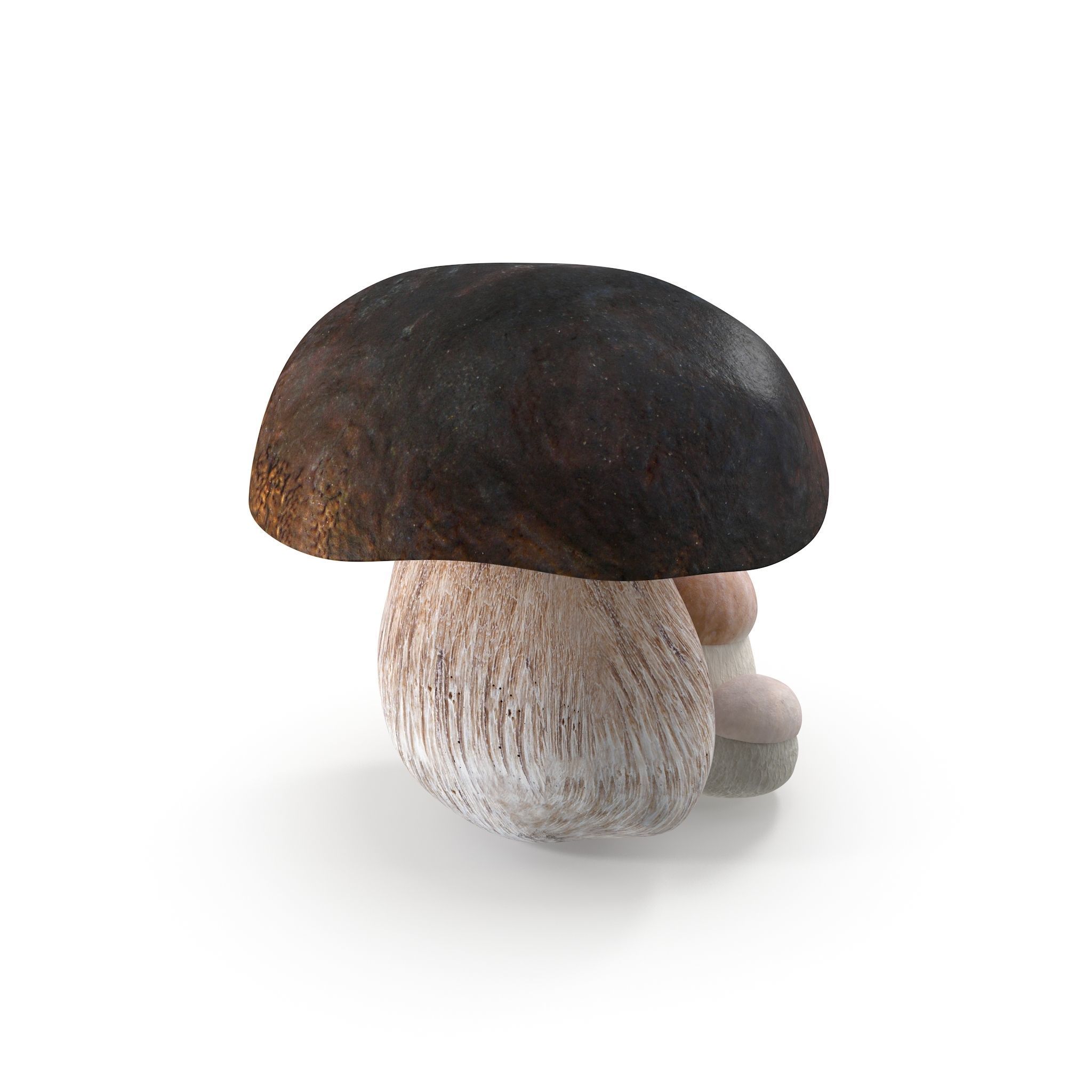 Boletus Edulis Low-poly 3D model_4