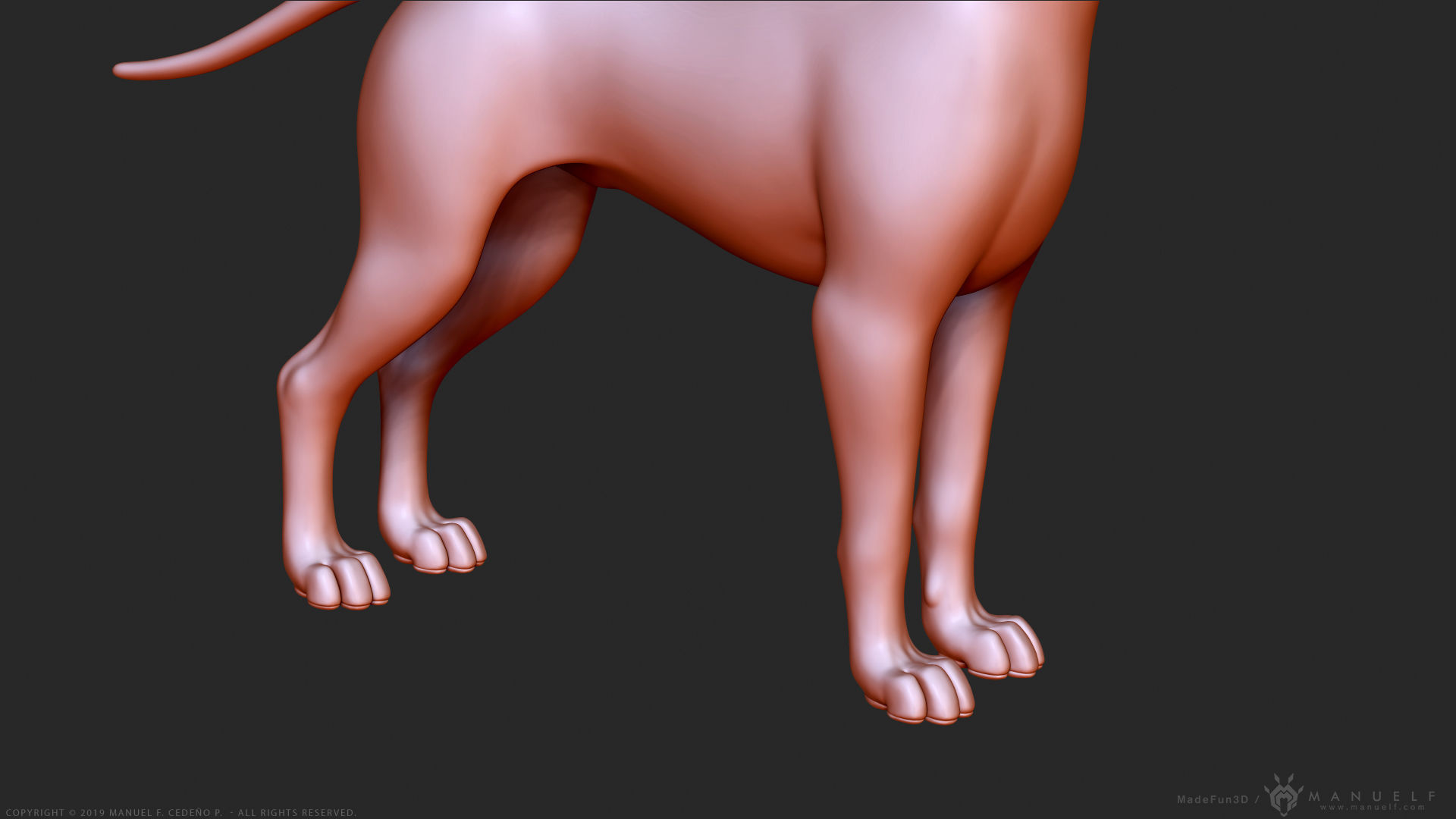 Stylized Cartoon Dog Low-poly 3D model_15