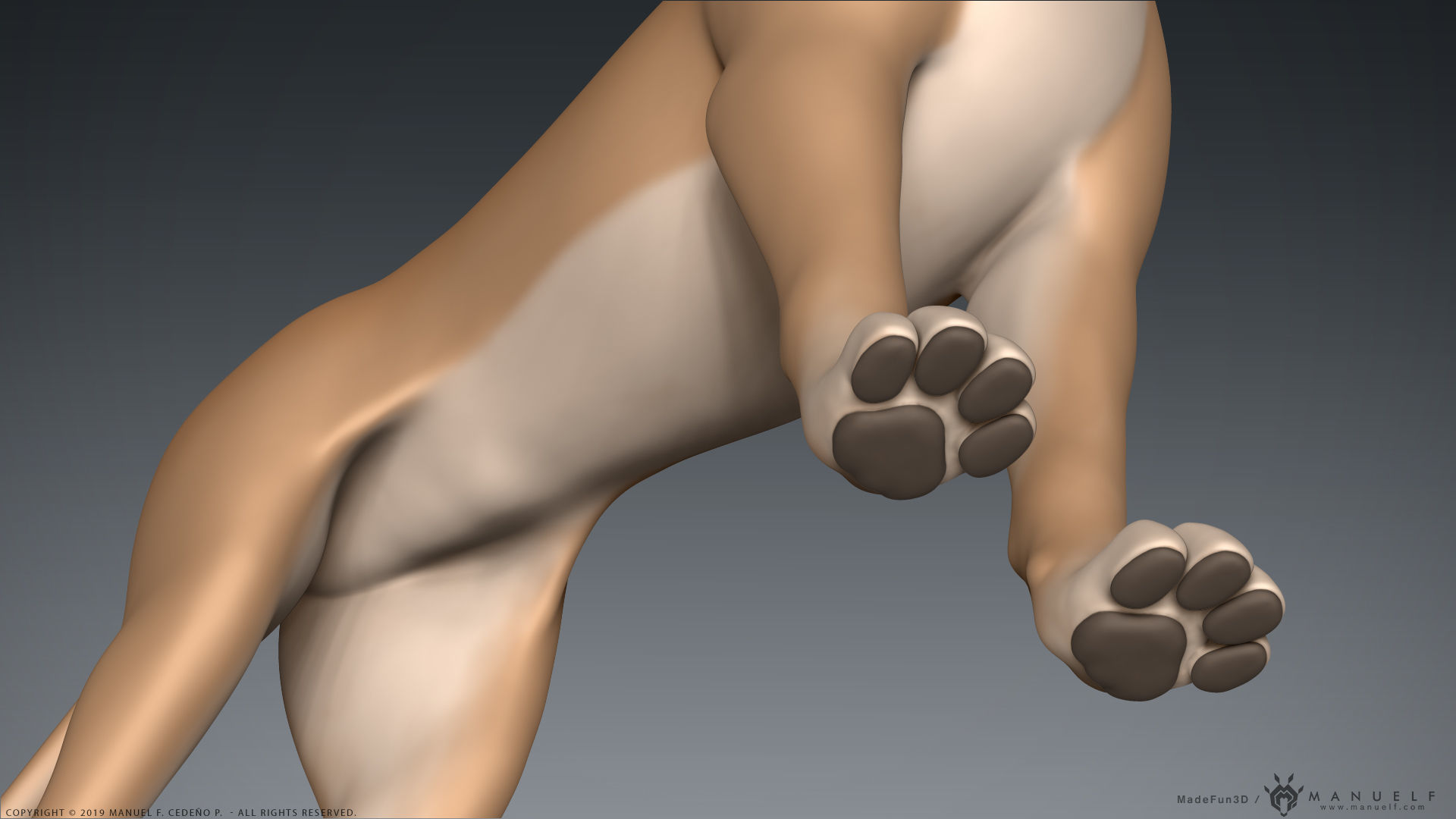 Stylized Cartoon Dog Low-poly 3D model_5